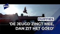 Het verhaal achter de WOS 50: Koos Janssen, 'Eerst Effe Naar M'n Duiffies'