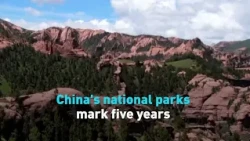 China's national parks mark five years