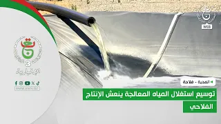 8 Médéa: Agriculture: Expanding the use of treated wastewater boosts agricultural production