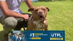 Cuenca Pet 2026: Talks, startups, and contests to celebrate pets