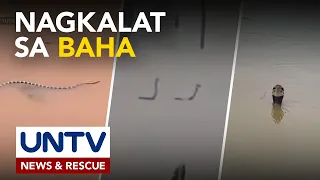 Venomous snakes, nagkalat sa baha sa China; ibayong pag-iingat, ibinabala