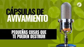 Little Things That Can Destroy You | Revival Capsules | Christian Podcast