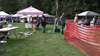Laura's Hope Rescue hosts annual fundraiser while honoring late supporter Debbie Higgins