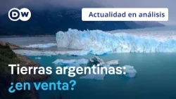 🟣What’s behind the sale of Argentine land to foreigners and why it attracts tech moguls
