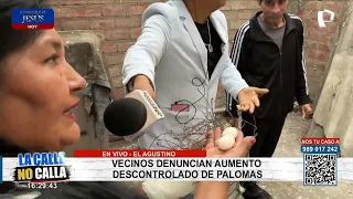 Residents report uncontrollable pigeon infestation in the streets of El Agustino