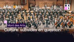 Mont des Arts – Culture : subsides en question