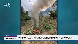RM TV: Открих над 3 тона канабис в Пирин и Огражден