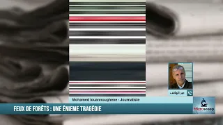Mohamed Iouanoughen : Les feux de forêt deviennent un phénomène habituel en Algérie
