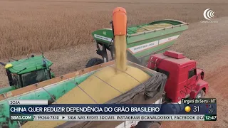 China looks to reduce dependence on Brazilian soy