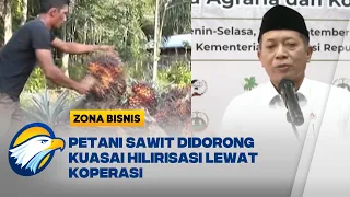 Petani Sawit Didorong Punya Pabrik CPO Sendiri - [Energy Focus]