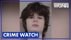 Palatine authorities to release new information Thursday on alleged mass shooting plot by 19-year-ol