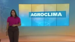 Quinta-feira começa com chuva ganhando força em diversas áreas produtoras do Brasil | 19/03/2026