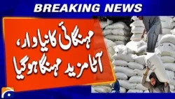 Flour Becomes More Expensive as Inflation Hits Pakistan | Geo News