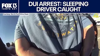 Video: Sleeping driver arrested on major Florida road