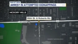 Man charged with trying to kidnap 2 young girls in Hickory Hills, police say