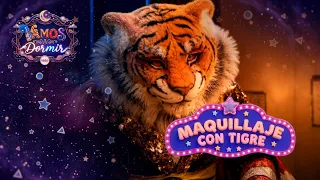 Stories That Keep You Company: Tiger Face Paint