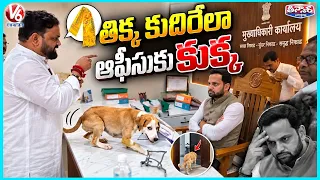 Yuva Sena Workers Unleash Stray Dogs On Nashik Official's Desk | V6 Teenmaar