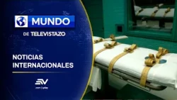 Tanzania: Avioneta con personas a bordo choca con cebra al despegar | Mundo Televistazo 7 oct. 2026