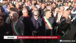 OCTOBER 19, 2026 - REGION, OLIVE GROWERS AND XYLELLA, THE TRACTORS REMAIN RUNNING