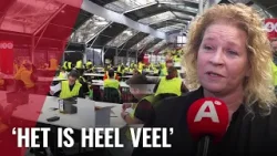 800 mensen tellen alle stemmen opnieuw op de NDSM-werf