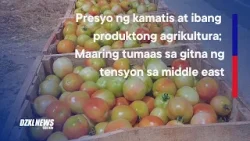 SINAG: Presyo ng kamatis bagsak; oil hike at taripa, pabigat sa magsasaka