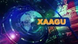 XAAGU 19h du 29/12/202 XAAGU 19h du 29/12/202