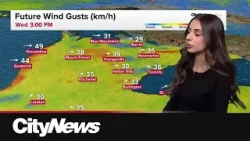 Flurries and risk of snow squalls continue in Toronto Flurries and risk of snow squalls continue in Toronto