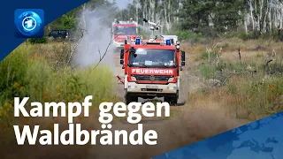 Hitze und Rekordtemperaturen: Kampf gegen Waldbrände – und die Munition im Boden