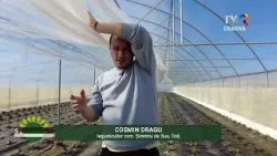 Satul meu - legumicultură la Șimnicu de Sus și Teasc