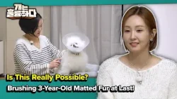 Brushing 3-Year-Old Matted Fur at Last! [Dogs Are Incredible] | KBS WORLD TV 260317