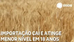 Importação de trigo cai e atinge menor nível em 18 anos