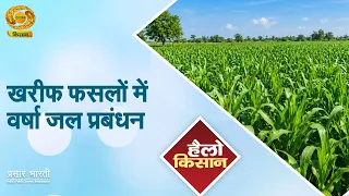 Hello Kisan: Rainwater Management in Kharif Crops | Increase Crop Production with Rainwater | DD ...