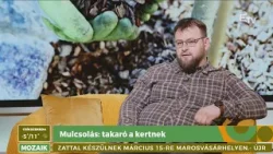 Mulcsozás: takaró a kertnek – Mozaik Mulcsozás: takaró a kertnek – Mozaik