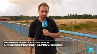 La forêt de Fontainebleau parcourue par les flammes, le point sur la situation • FRANCE 24