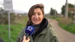 Pomezia, "la Riserva della Sughereta è a rischio": protestano cittadini e associazioni