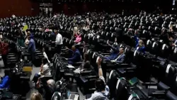 "600 mil niños serán beneficiados": Rossy Antúnez, Senado aprueba la legalización consular consular