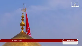 Haremin Sesi: Kutlu Doğum: Hz. Muhammed ve İmam Cafer Sadık