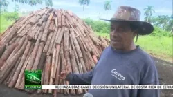 Empresa Agroforestal Guanahacabibes, un modelo de eficiencia en Pinar del Río