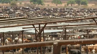 New tariffs against Canada to go into effect today