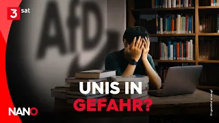 What the AfD is really planning | NANO