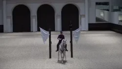 ???В Абу-Даби отпраздновали наступление Года лошади конным балетом