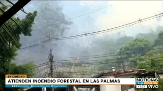Forest fire on Las Palmas being attended to after breaking out this morning