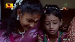 Thai Pongal Documentary - 2026 | 2026-01-15 | Nethra TV