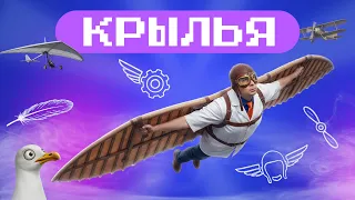 Wings of Progress: How Humans Taught Iron to Fly. Academy of Steklyashkin