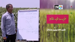 خير لبلاد : الأحد 09 غشت 2026