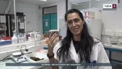 TE_VEA_230126 TE_VEA_230126