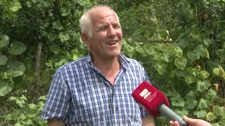 Jetesa në fshat, prodhimet që kanë sezonin e tyre të vjeljes