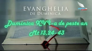 SUNDAY GOSPEL - 16th Sunday in Ordinary Time