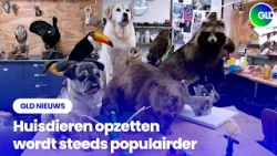 GLD Nieuws 15 maart 2026