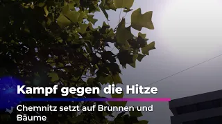 Fighting the Heat: Chemnitz Relies on Fountains and Trees